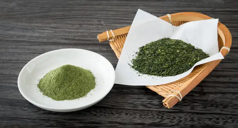 粉末緑茶と抽出緑茶の比較