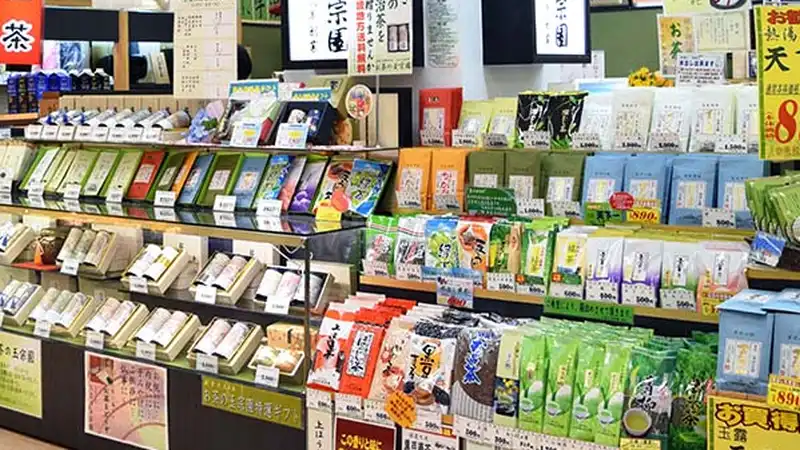 粉末緑茶の選び方