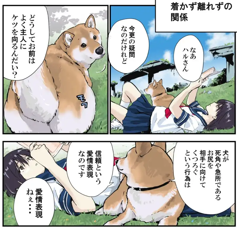 世界の終わりに柴犬と